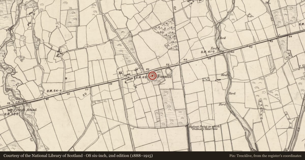 Ordnance Survey six-inch map, 2nd edition (1888–1915) covering the location of Ringfort - rath, Shanakeal, County Kerry, with a pin at the register's coordinates