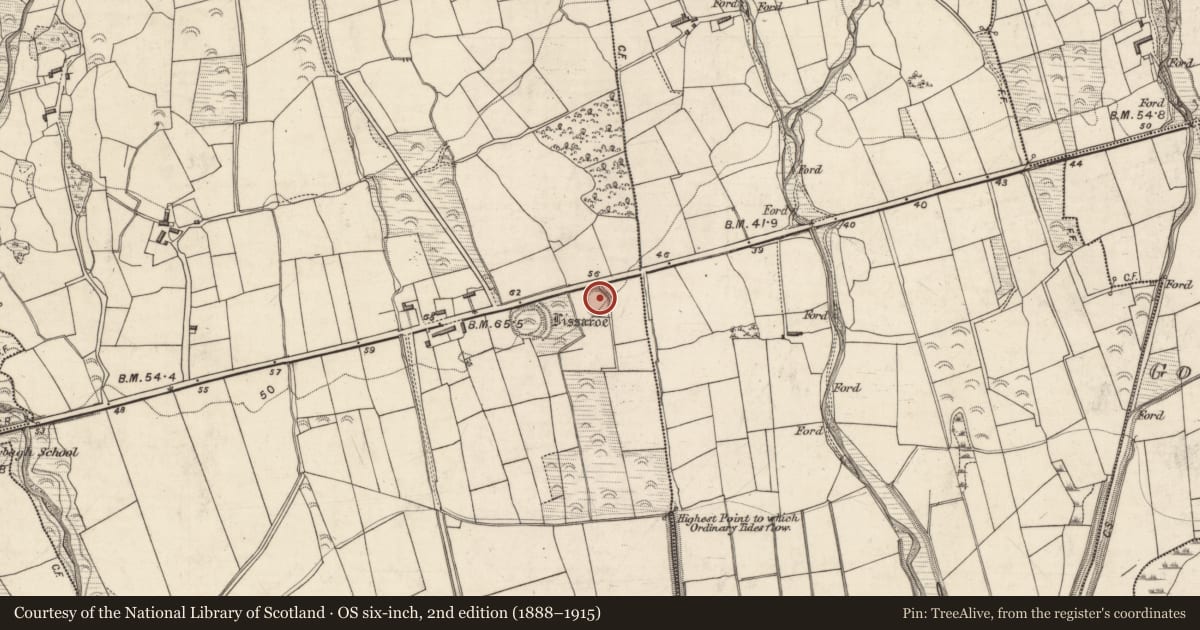 Ordnance Survey six-inch map, 2nd edition (1888–1915) covering the location of Enclosure, Shanakeal, County Kerry, with a pin at the register's coordinates