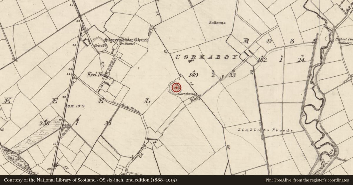 Ordnance Survey six-inch map, 2nd edition (1888–1915) covering the location of Ringfort - rath, Keel, County Kerry, with a pin at the register's coordinates