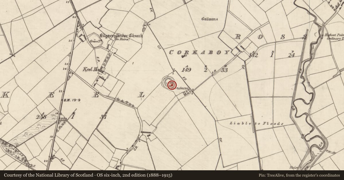 Ordnance Survey six-inch map, 2nd edition (1888–1915) covering the location of Standing stone, Keel, County Kerry, with a pin at the register's coordinates
