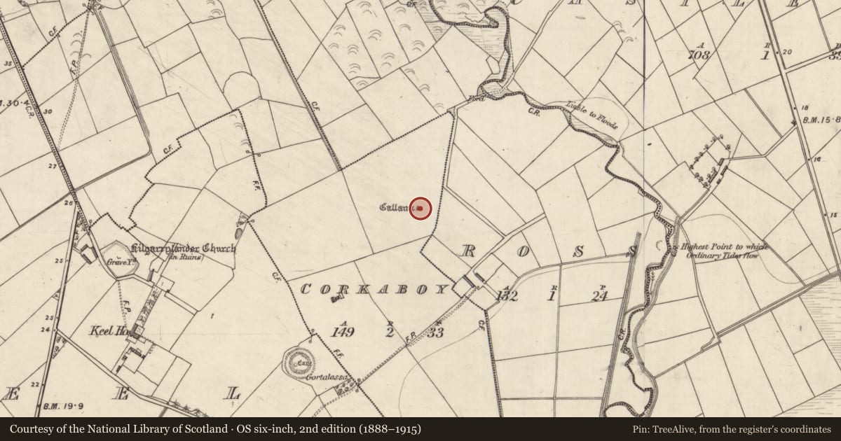 Ordnance Survey six-inch map, 2nd edition (1888–1915) covering the location of Standing stone, Corkaboy, County Kerry, with a pin at the register's coordinates