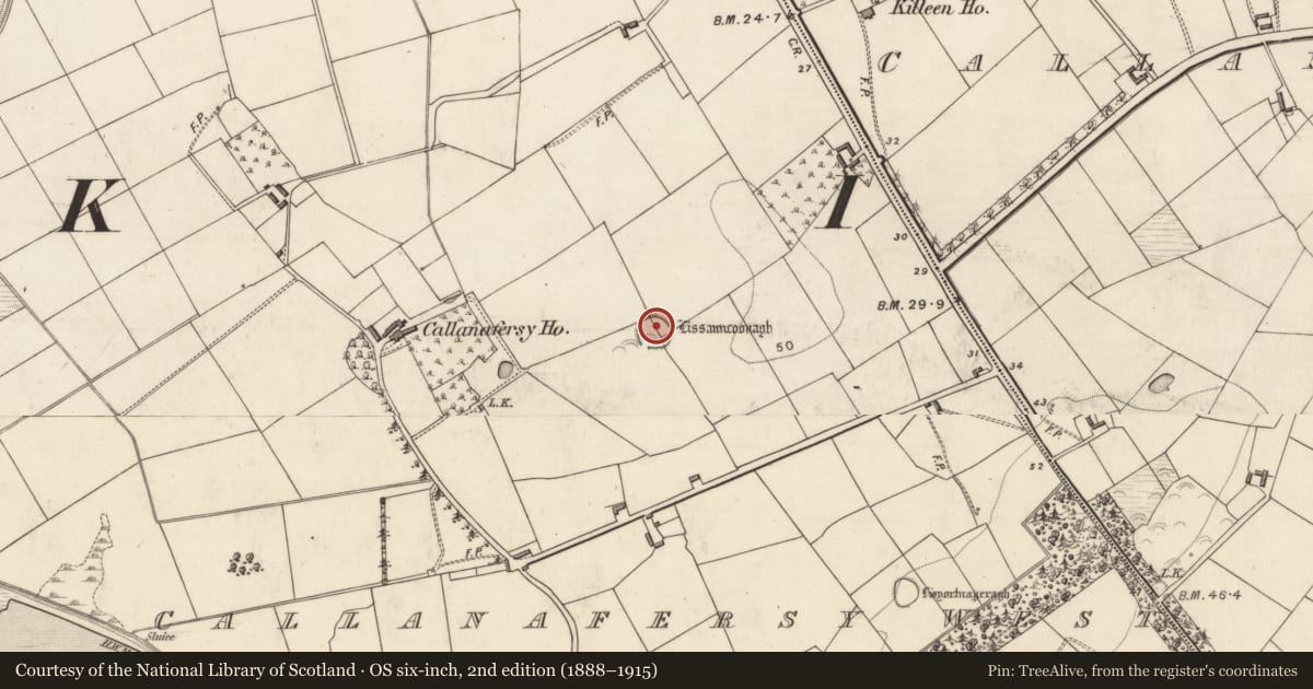 Ordnance Survey six-inch map, 2nd edition (1888–1915) covering the location of Enclosure, Callanafersy West, County Kerry, with a pin at the register's coordinates