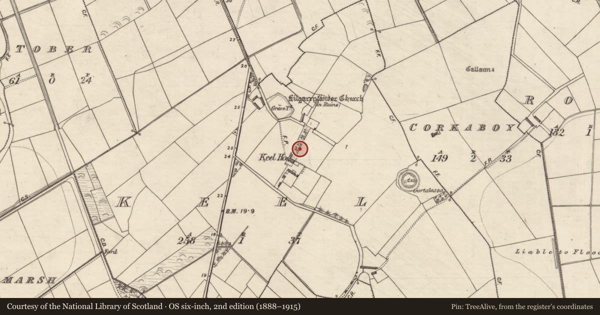 Ordnance Survey six-inch map, 2nd edition (1888–1915) covering the location of Ogham stone (present location), Keel, County Kerry, with a pin at the register's coordinates
