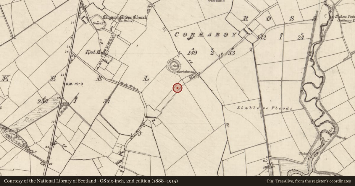 Ordnance Survey six-inch map, 2nd edition (1888–1915) covering the location of Cairn - unclassified, Keel, County Kerry, with a pin at the register's coordinates