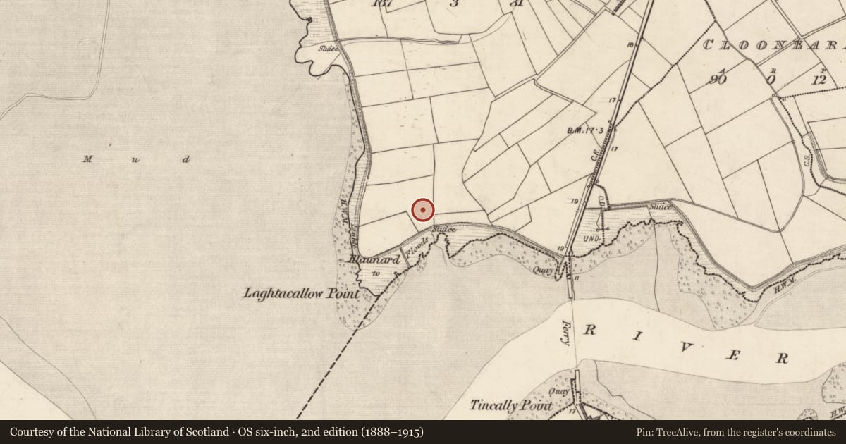 Ordnance Survey six-inch map, 2nd edition (1888–1915) covering the location of Enclosure, Laghtacallow, County Kerry, with a pin at the register's coordinates