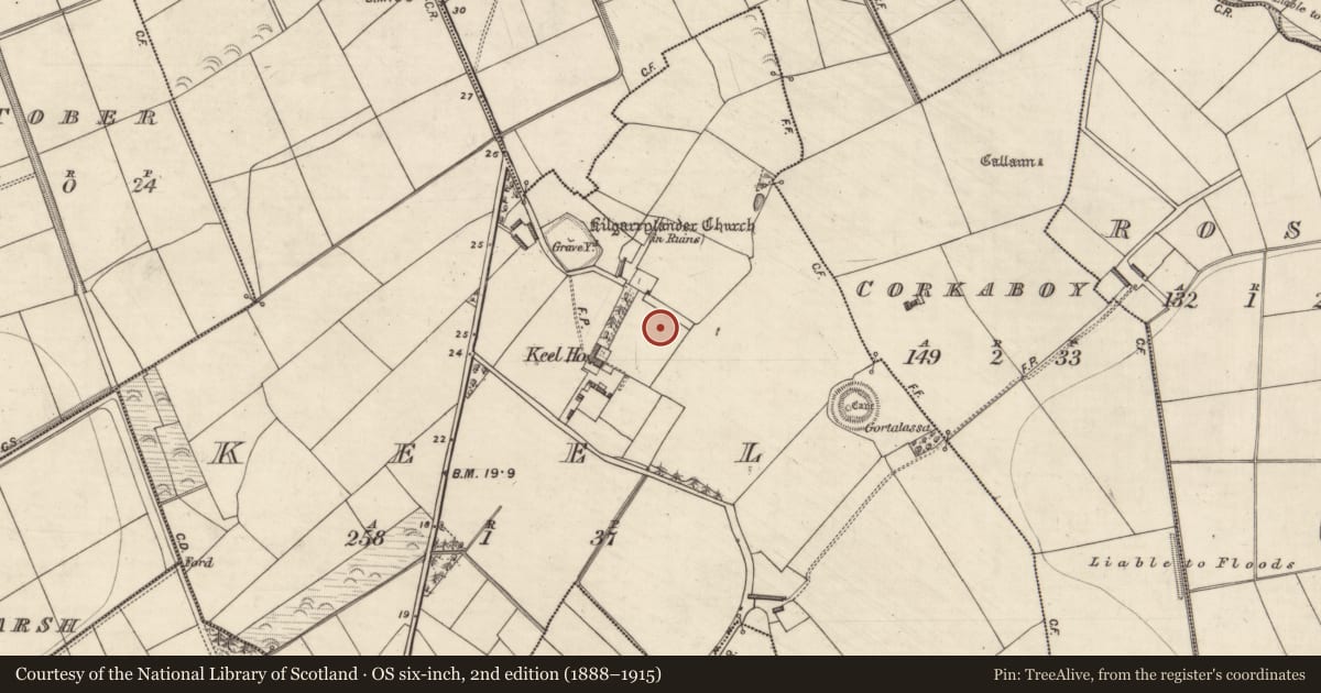 Ordnance Survey six-inch map, 2nd edition (1888–1915) covering the location of Enclosure, Keel, County Kerry, with a pin at the register's coordinates
