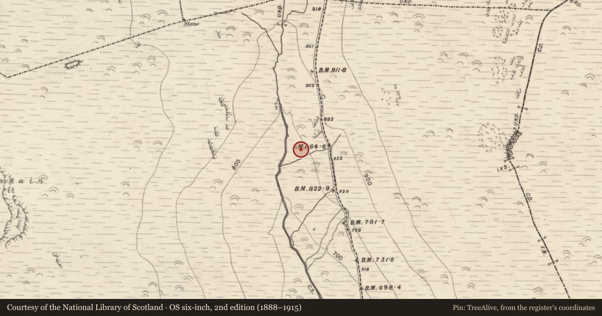 Ordnance Survey six-inch map, 2nd edition (1888–1915) covering the location of Hut site, Aughils, County Kerry, with a pin at the register's coordinates