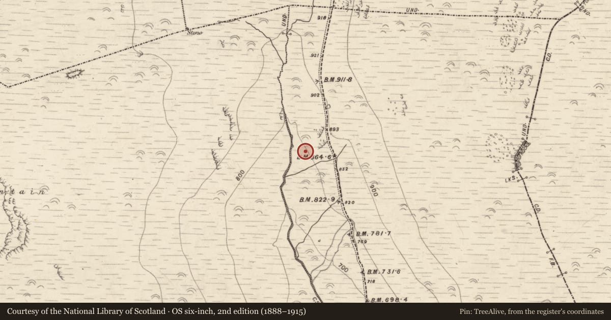 Ordnance Survey six-inch map, 2nd edition (1888–1915) covering the location of Hut site, Aughils, County Kerry, with a pin at the register's coordinates