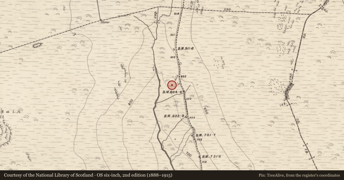 Ordnance Survey six-inch map, 2nd edition (1888–1915) covering the location of Hut site, Aughils, County Kerry, with a pin at the register's coordinates