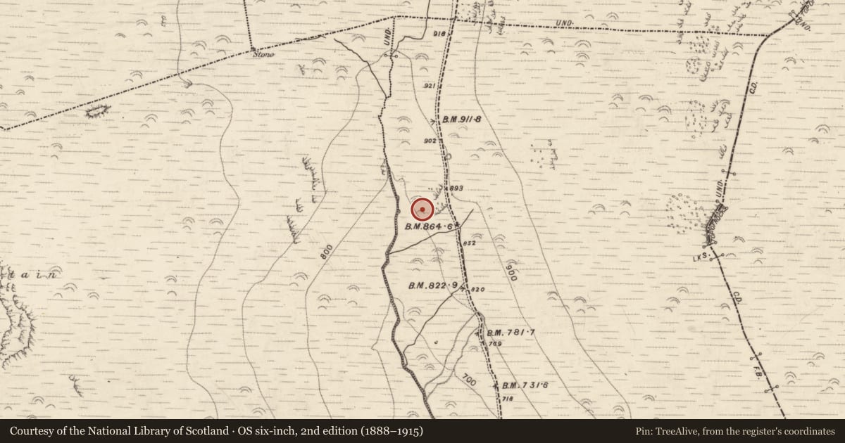 Ordnance Survey six-inch map, 2nd edition (1888–1915) covering the location of Hut site, Aughils, County Kerry, with a pin at the register's coordinates