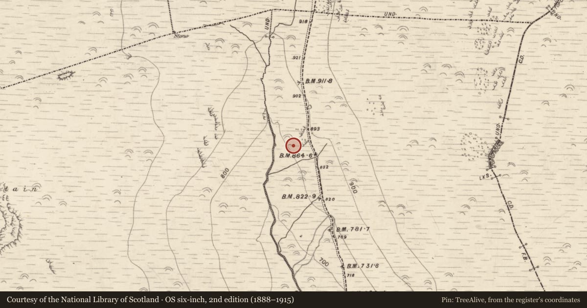 Ordnance Survey six-inch map, 2nd edition (1888–1915) covering the location of Hut site, Aughils, County Kerry, with a pin at the register's coordinates