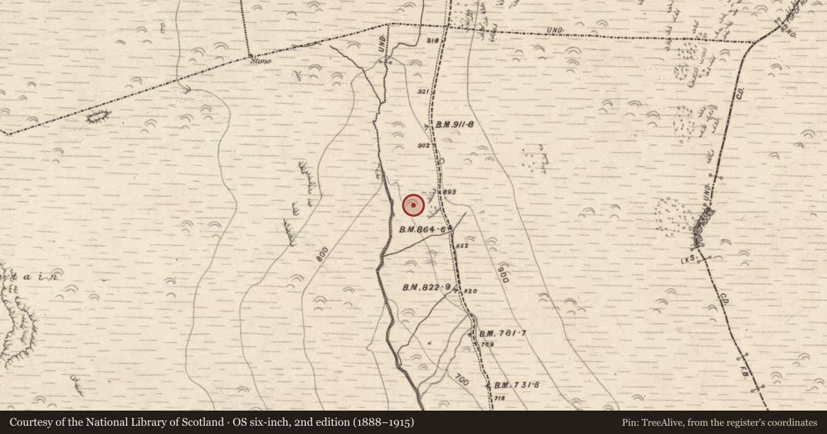 Ordnance Survey six-inch map, 2nd edition (1888–1915) covering the location of Hut site, Aughils, County Kerry, with a pin at the register's coordinates
