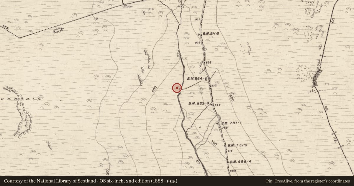 Ordnance Survey six-inch map, 2nd edition (1888–1915) covering the location of Standing stone, Lack, County Kerry, with a pin at the register's coordinates