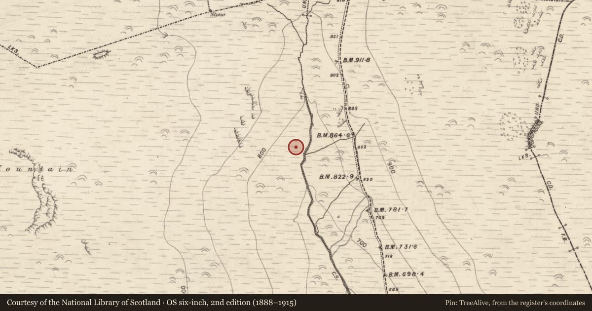 Ordnance Survey six-inch map, 2nd edition (1888–1915) covering the location of Hut site, Lack, County Kerry, with a pin at the register's coordinates