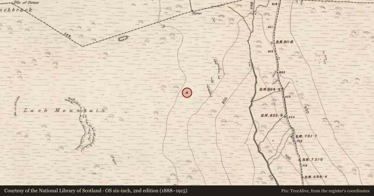 Ordnance Survey six-inch map, 2nd edition (1888–1915) covering the location of Habitation site, Lack, County Kerry, with a pin at the register's coordinates