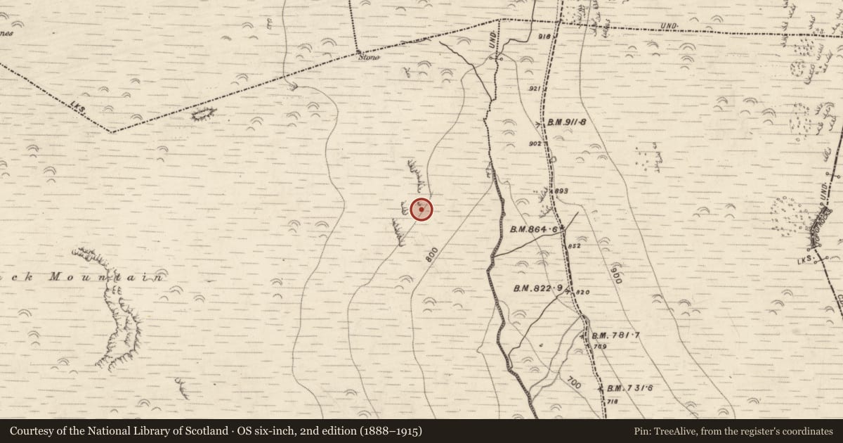Ordnance Survey six-inch map, 2nd edition (1888–1915) covering the location of Habitation site, Lack, County Kerry, with a pin at the register's coordinates