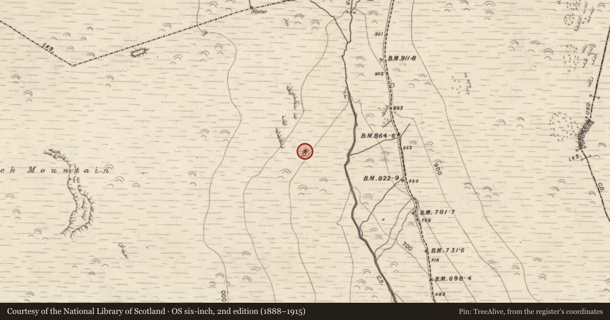 Ordnance Survey six-inch map, 2nd edition (1888–1915) covering the location of Habitation site, Lack, County Kerry, with a pin at the register's coordinates
