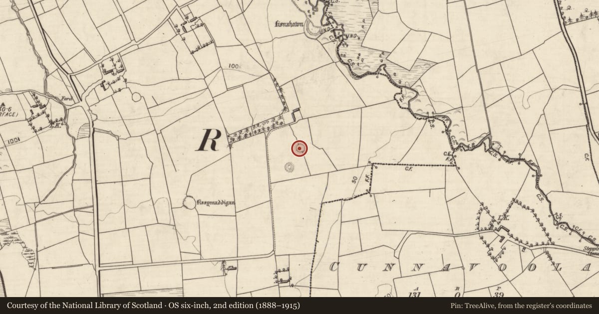 Ordnance Survey six-inch map, 2nd edition (1888–1915) covering the location of Barrow - ring-barrow, Farna, County Kerry, with a pin at the register's coordinates