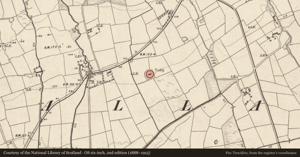 Ordnance Survey six-inch map, 2nd edition (1888–1915) covering the location of Standing stone, Ballygamboon Upper, County Kerry, with a pin at the register's coordinates