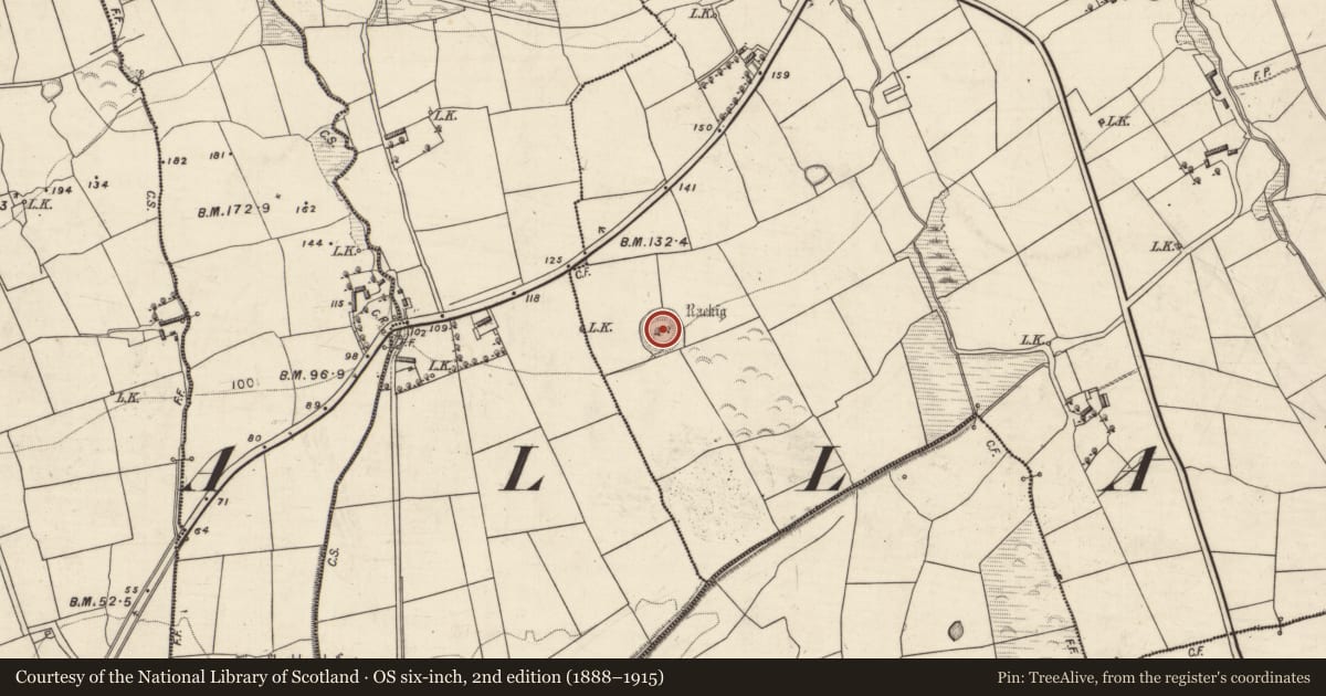 Ordnance Survey six-inch map, 2nd edition (1888–1915) covering the location of Rock art, Ballygamboon Upper, County Kerry, with a pin at the register's coordinates