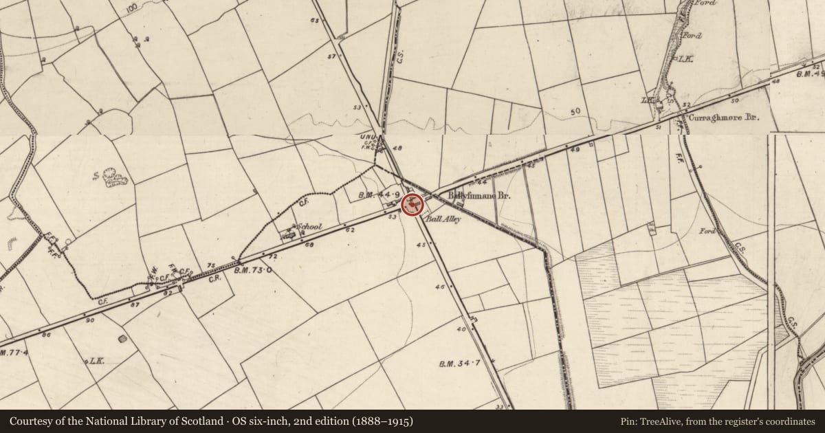 Ordnance Survey six-inch map, 2nd edition (1888–1915) covering the location of Ringfort - rath, Ballyfinnane, County Kerry, with a pin at the register's coordinates