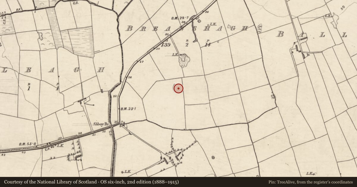 Ordnance Survey six-inch map, 2nd edition (1888–1915) covering the location of Ringfort - rath, Breanshagh, County Kerry, with a pin at the register's coordinates