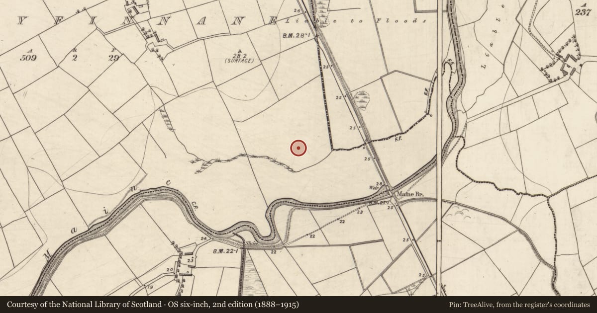 Ordnance Survey six-inch map, 2nd edition (1888–1915) covering the location of Ringfort - rath, Ballyfinnane, County Kerry, with a pin at the register's coordinates