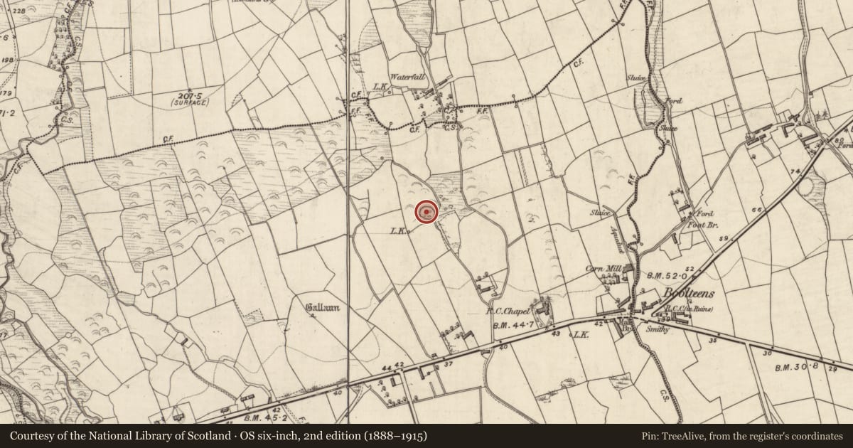 Ordnance Survey six-inch map, 2nd edition (1888–1915) covering the location of Enclosure, Castledrum, County Kerry, with a pin at the register's coordinates
