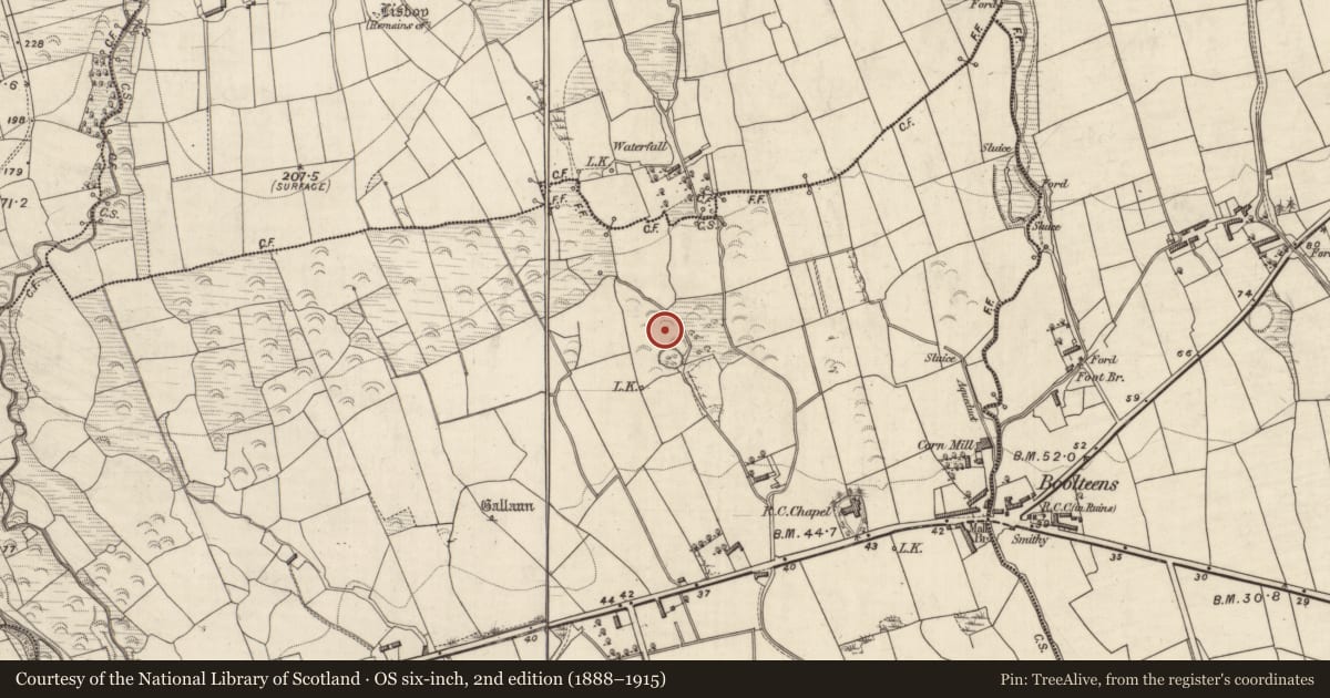 Ordnance Survey six-inch map, 2nd edition (1888–1915) covering the location of Standing stone, Castledrum, County Kerry, with a pin at the register's coordinates