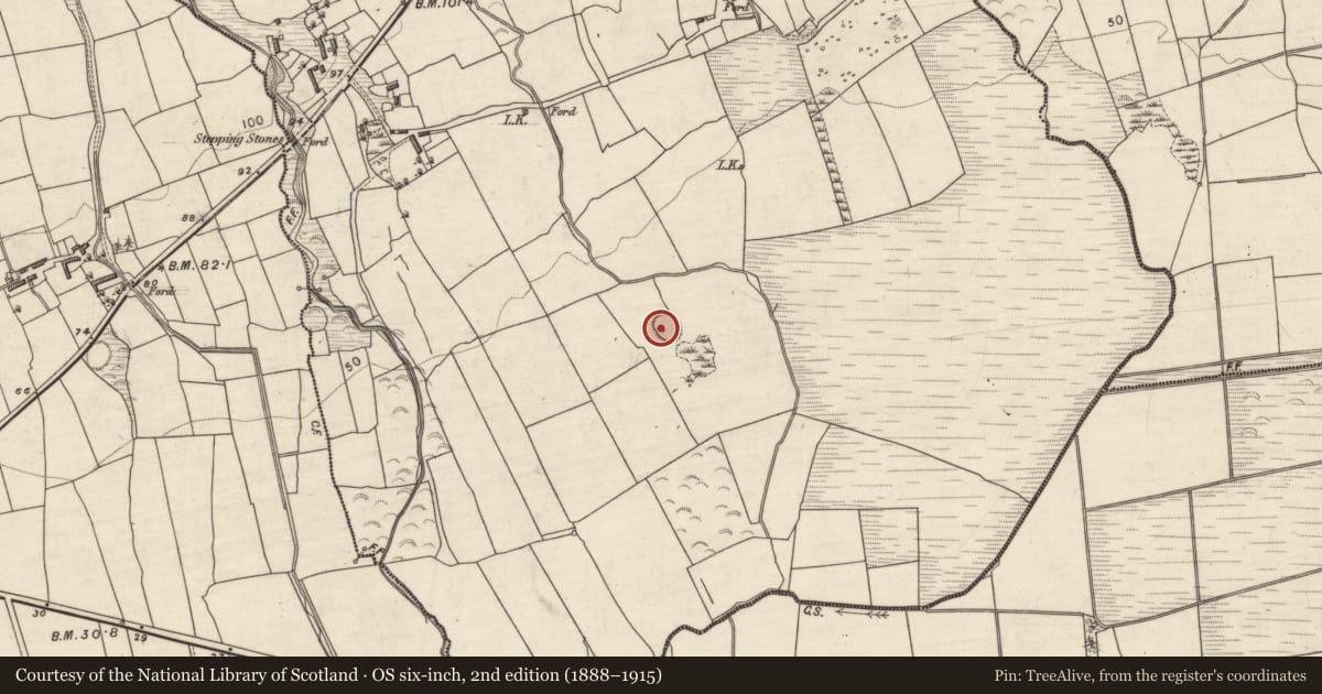 Ordnance Survey six-inch map, 2nd edition (1888–1915) covering the location of Ringfort - rath, Boolteens East, County Kerry, with a pin at the register's coordinates