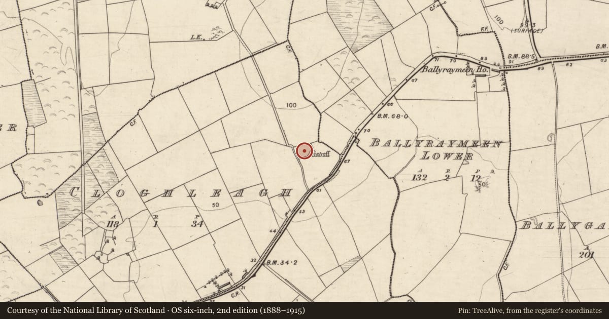 Ordnance Survey six-inch map, 2nd edition (1888–1915) covering the location of Enclosure, Cloghleagh, County Kerry, with a pin at the register's coordinates