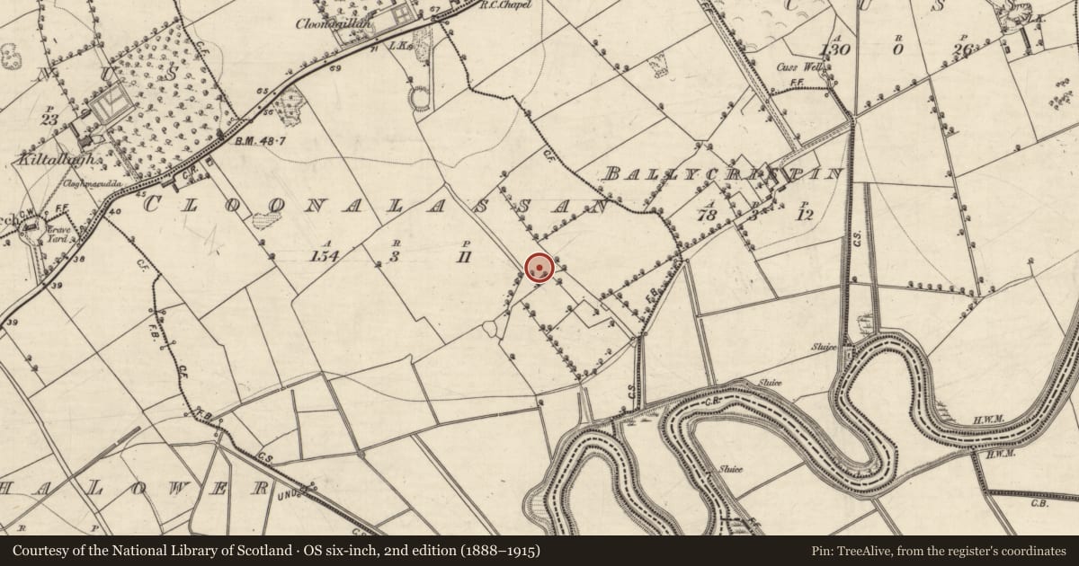 Ordnance Survey six-inch map, 2nd edition (1888–1915) covering the location of Enclosure, Cloonalassan, County Kerry, with a pin at the register's coordinates