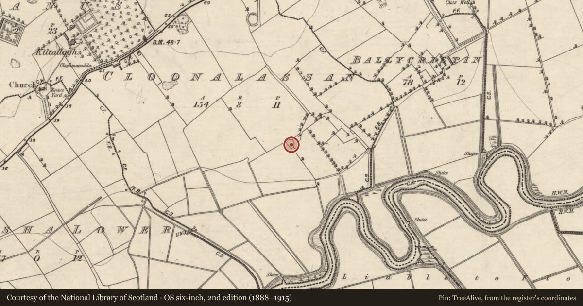 Ordnance Survey six-inch map, 2nd edition (1888–1915) covering the location of Enclosure, Cloonalassan, County Kerry, with a pin at the register's coordinates