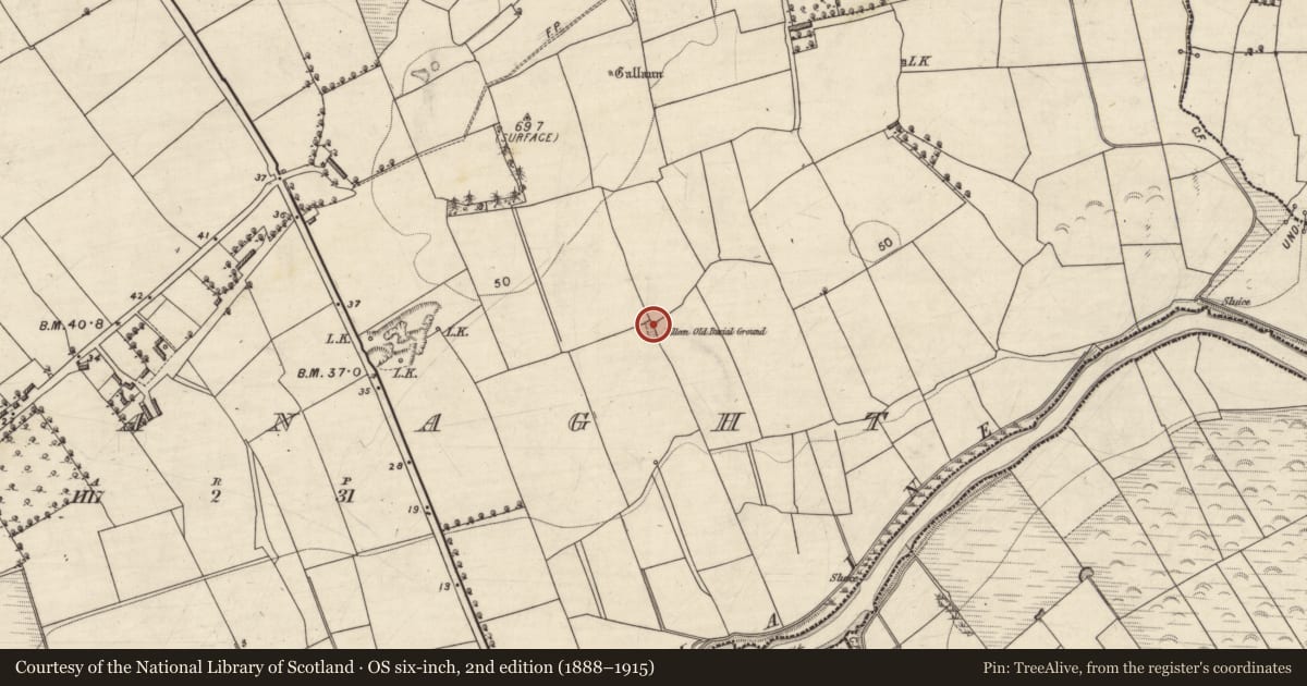 Ordnance Survey six-inch map, 2nd edition (1888–1915) covering the location of Ogham stone, Ardcanaght, County Kerry, with a pin at the register's coordinates
