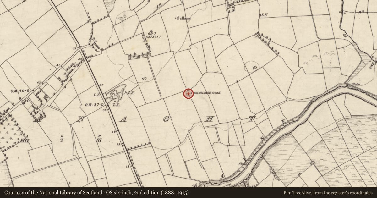 Ordnance Survey six-inch map, 2nd edition (1888–1915) covering the location of Ogham stone, Ardcanaght, County Kerry, with a pin at the register's coordinates