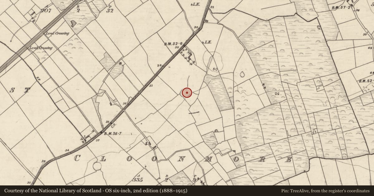 Ordnance Survey six-inch map, 2nd edition (1888–1915) covering the location of Enclosure, Cloonmore, County Kerry, with a pin at the register's coordinates