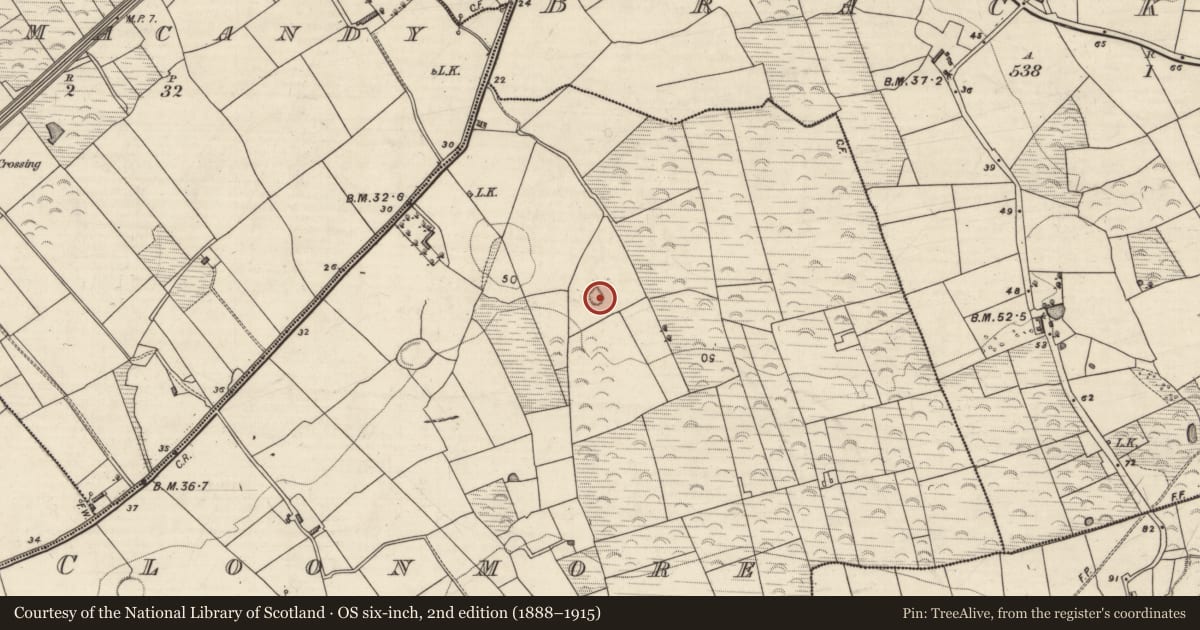 Ordnance Survey six-inch map, 2nd edition (1888–1915) covering the location of Enclosure, Cloonmore, County Kerry, with a pin at the register's coordinates