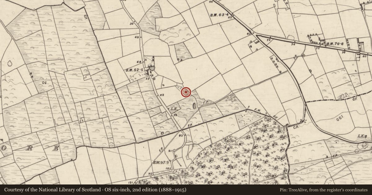 Ordnance Survey six-inch map, 2nd edition (1888–1915) covering the location of Megalithic structure, Brackhill, County Kerry, with a pin at the register's coordinates