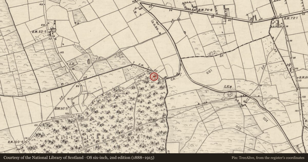 Ordnance Survey six-inch map, 2nd edition (1888–1915) covering the location of Building, Killaclohane, County Kerry, with a pin at the register's coordinates