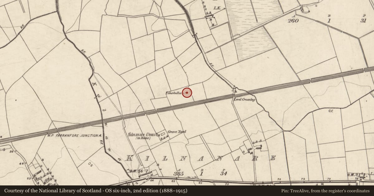 Ordnance Survey six-inch map, 2nd edition (1888–1915) covering the location of Ritual site - holy well, Kilnanare, County Kerry, with a pin at the register's coordinates