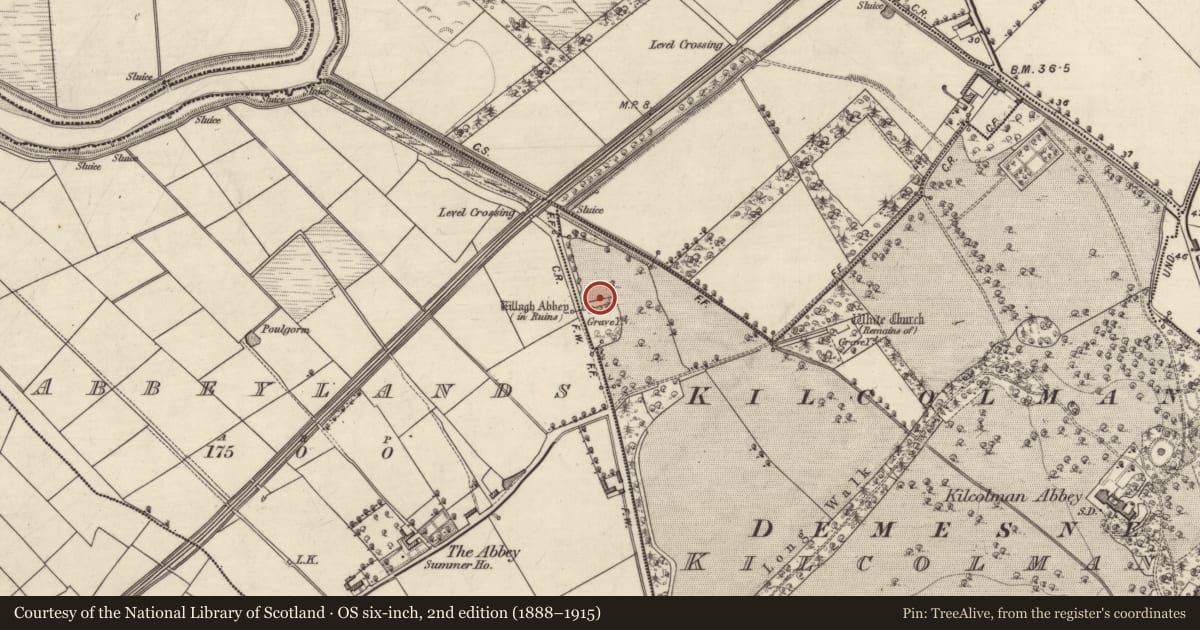 Ordnance Survey six-inch map, 2nd edition (1888–1915) covering the location of Religious house - Augustinian canons, Abbeylands, Kilcolman, County Kerry, with a pin at the register's coordinates