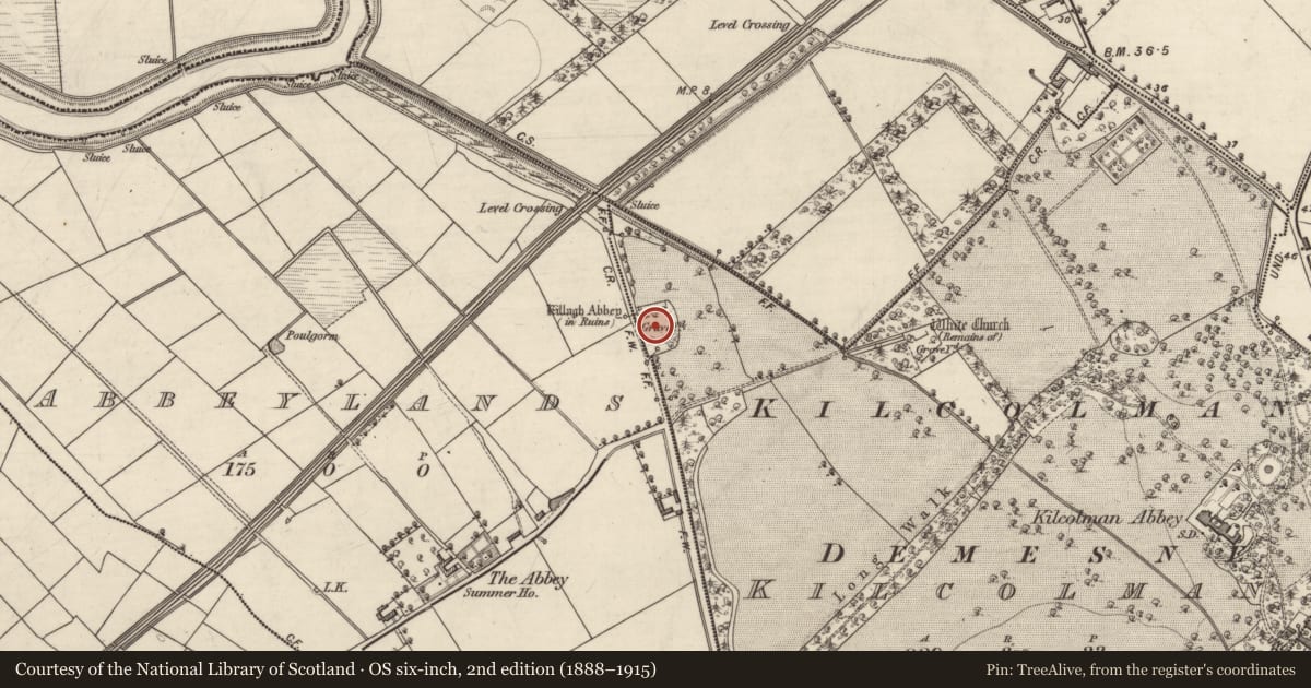Ordnance Survey six-inch map, 2nd edition (1888–1915) covering the location of Graveyard, Abbeylands, Kilcolman, County Kerry, with a pin at the register's coordinates