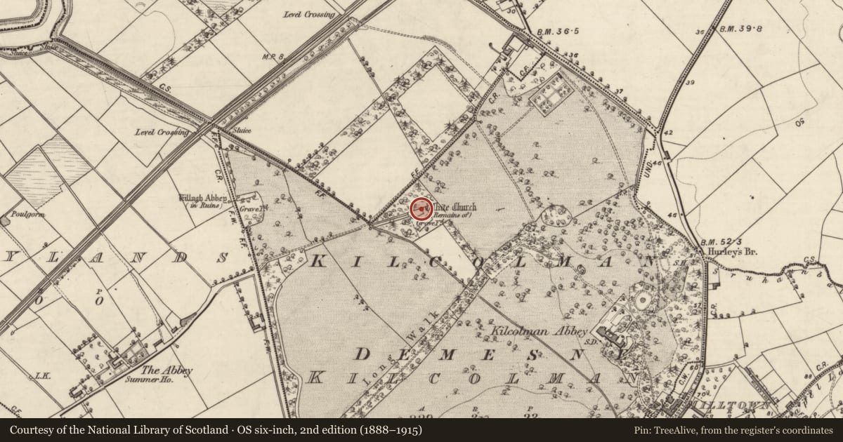 Ordnance Survey six-inch map, 2nd edition (1888–1915) covering the location of Church, Kilcolman, County Kerry, with a pin at the register's coordinates