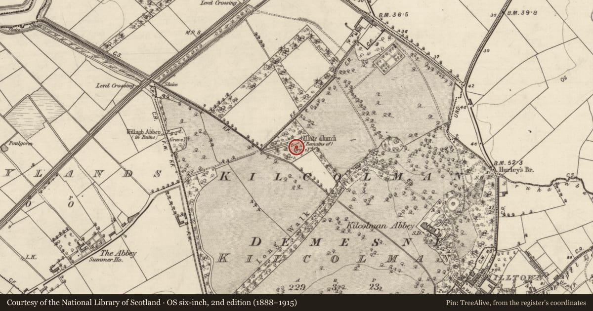 Ordnance Survey six-inch map, 2nd edition (1888–1915) covering the location of Graveyard, Kilcolman, County Kerry, with a pin at the register's coordinates