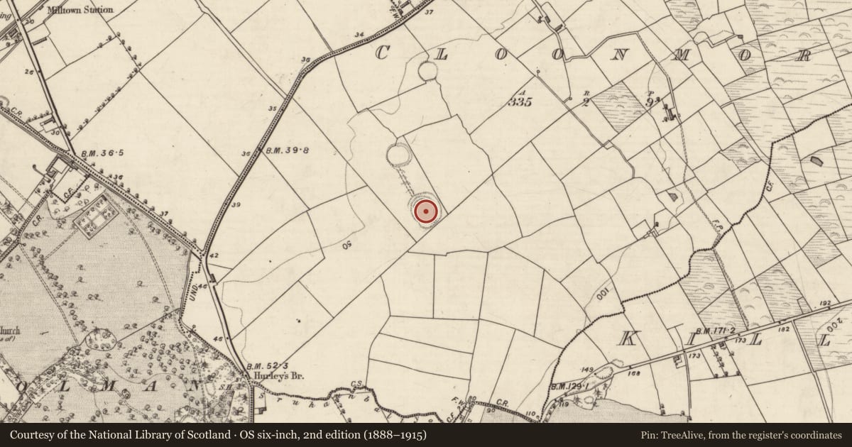 Ordnance Survey six-inch map, 2nd edition (1888–1915) covering the location of Ringfort - rath, Cloonmore, County Kerry, with a pin at the register's coordinates