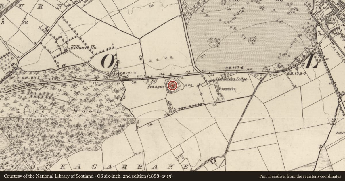 Ordnance Survey six-inch map, 2nd edition (1888–1915) covering the location of Souterrain, Kilcolman, County Kerry, with a pin at the register's coordinates