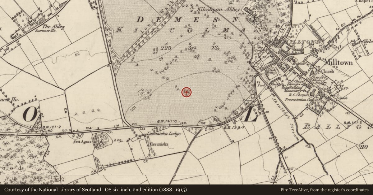 Ordnance Survey six-inch map, 2nd edition (1888–1915) covering the location of Enclosure, Kilcolman, County Kerry, with a pin at the register's coordinates
