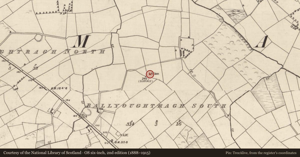 Ordnance Survey six-inch map, 2nd edition (1888–1915) covering the location of Standing stone, Ballyoughtragh South, County Kerry, with a pin at the register's coordinates