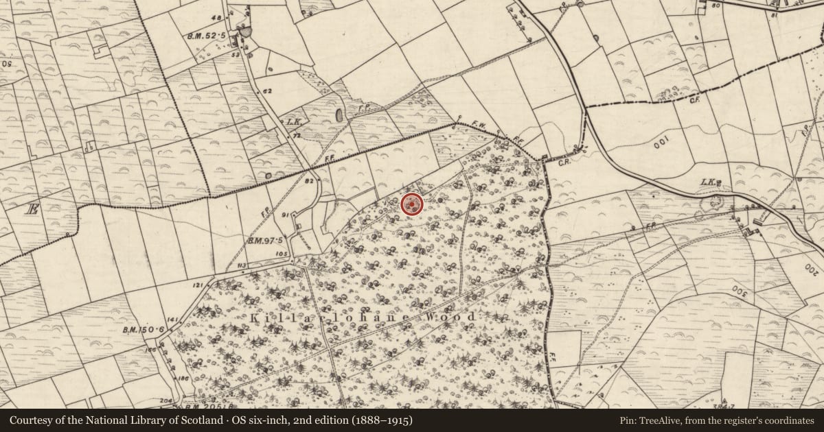 Ordnance Survey six-inch map, 2nd edition (1888–1915) covering the location of Megalithic tomb - portal tomb, Killaclohane, County Kerry, with a pin at the register's coordinates