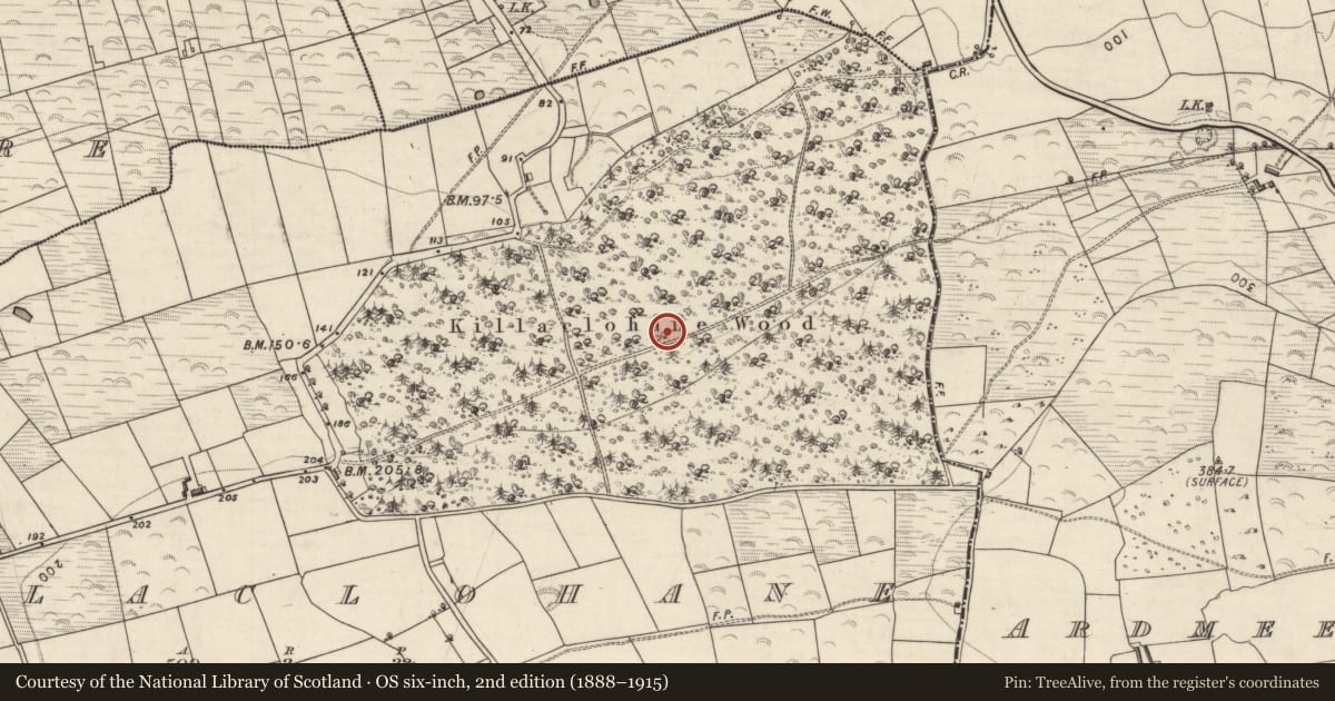 Ordnance Survey six-inch map, 2nd edition (1888–1915) covering the location of Inscribed stone, Killaclohane, County Kerry, with a pin at the register's coordinates